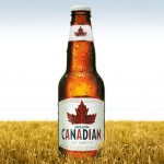 ken-molson_canadian_bottle_landscape