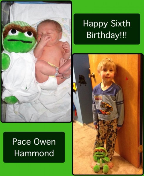 Pace and Oscar - Friends for Six Years