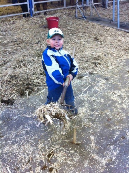 Applying For A Job At Agribition
