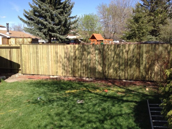 New Fence