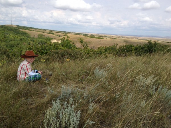 Willow Bunch Camping