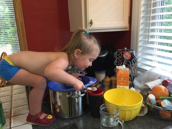 Making Saskatoon Tarts