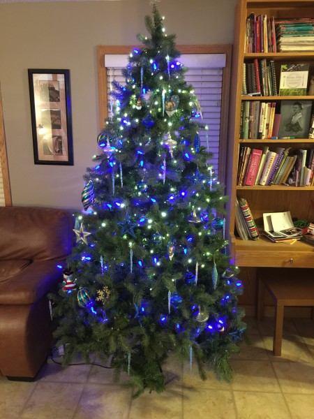 Our Blue and Silver Christmas Tree
