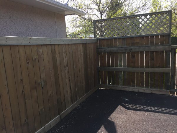 Inside View of New Fence