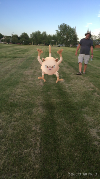 Pokemon in Park