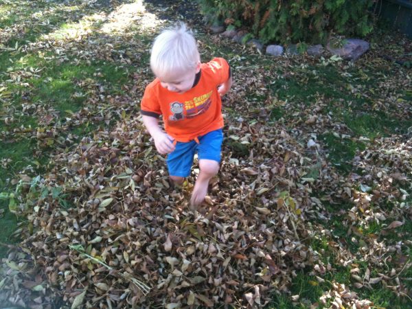 Crunching Leaves